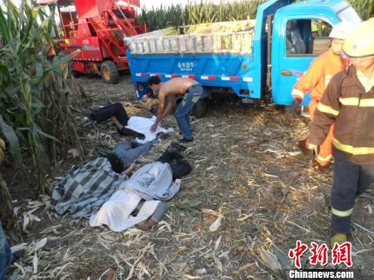 图为当场触电身亡3人的尸体。 邯郸消防支队供图 摄