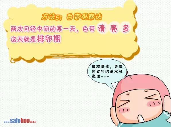 备孕须知 8方法推算排卵期