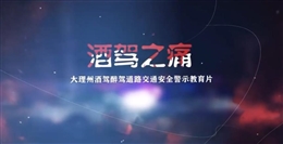 酒驾之痛—酒驾醉驾交通安全警示教育片