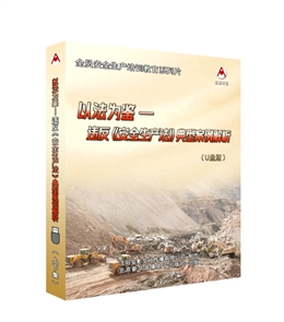 以法为鉴---违反《安全生产法》典型案例解析